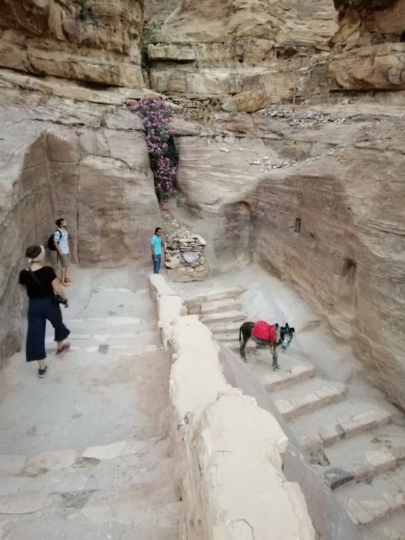 Voyage à Taybeh © Marion Frelat