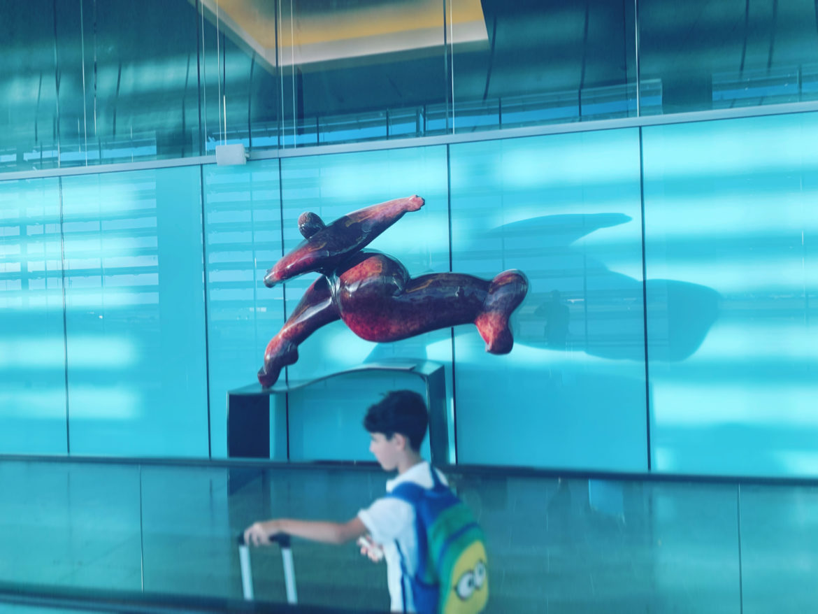 Aéroport de Toulouse-Toulouse-Blagnac